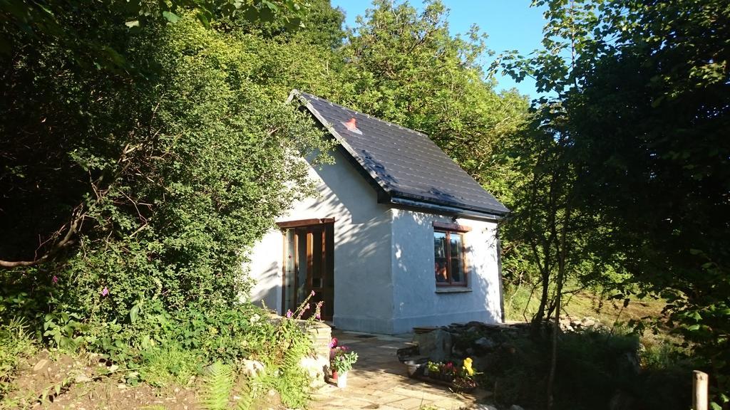 Apartament In The Woods Ballintogher Pokój zdjęcie